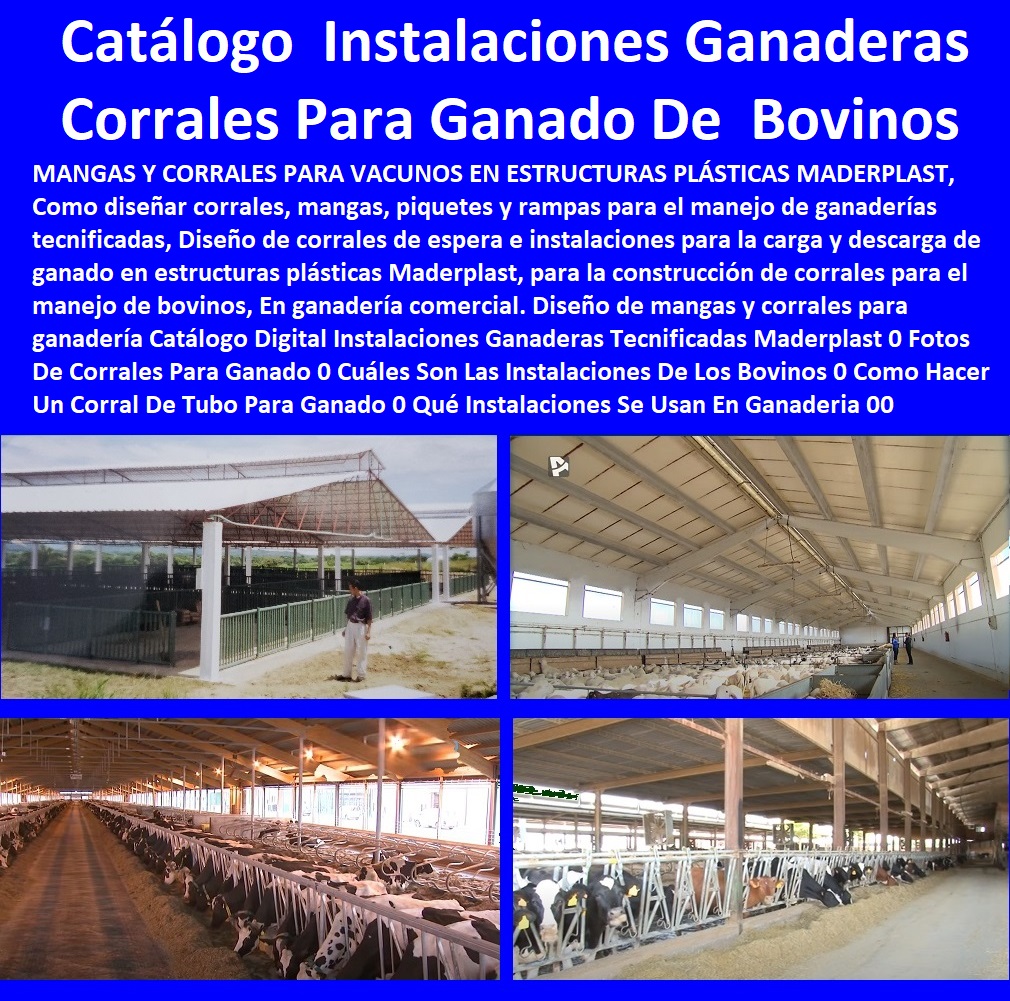 Catálogo 35 Instalaciones Ganaderas Corrales Para Ganado Maderplast 0 Planos De Corrales Para Ganado Bovino 0 Corrales Para Ganado Sencillos 0 Instalaciones De Corrales Para Bovinos 0 Instalaciones Bovinos De Doble Propósito corral Catálogo 35 Instalaciones Ganaderas Corrales Para Ganado Maderplast 0 Planos De Corrales Para Ganado Bovino 0 Corrales Para Ganado Sencillos 0 Instalaciones De Corrales Para Bovinos 0 Instalaciones Bovinos De Doble Propósito corral 